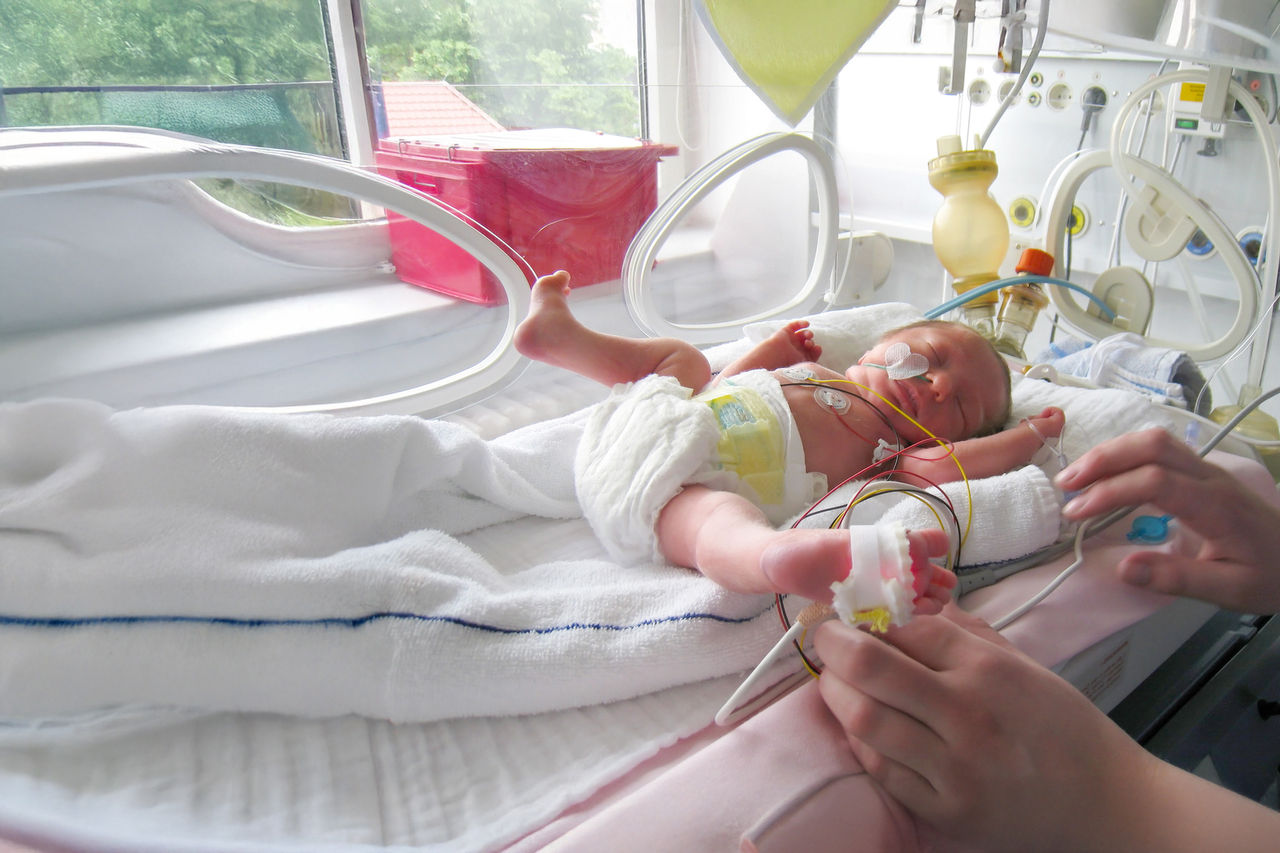 Newborn Premature Infant with Parent's Hand